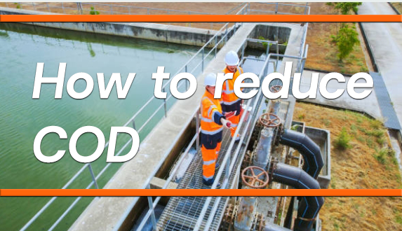 news-573-330 news-573-330