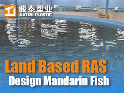 Проектирование наземной-УЗВ для рыбы-мандаринки