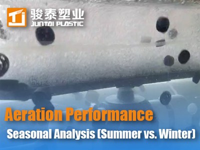 Эффективность мелкопузырчатой ​​аэрации в процессе AAO: сезонный анализ (лето...